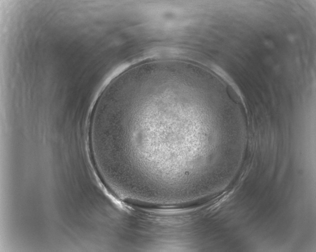 X0000063531437200601231530