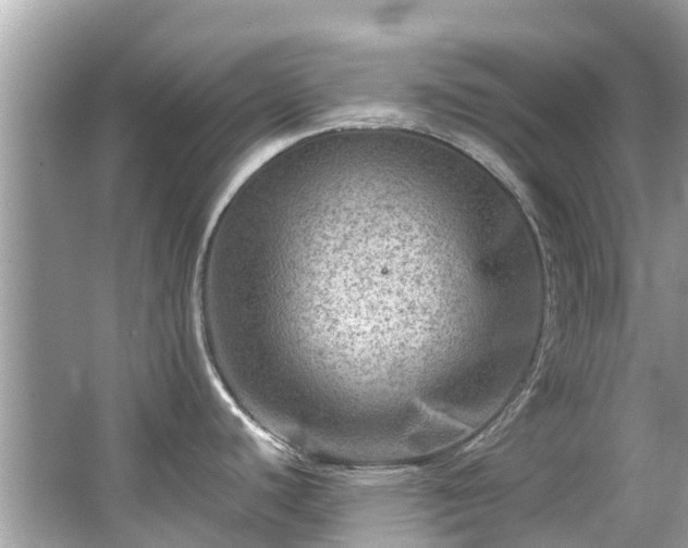 X0000063531440200601231530