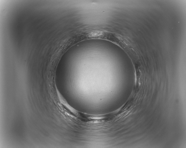 X0000063531441200601231529