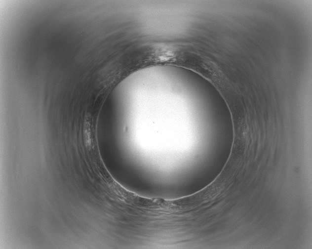 X0000063531442200601231529