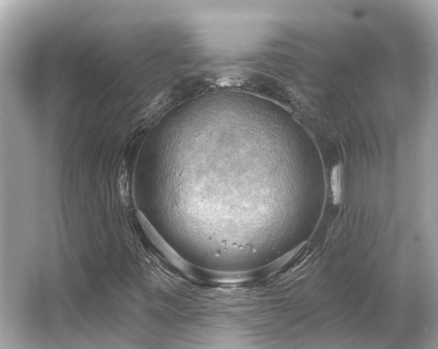 X0000063531443200601231529