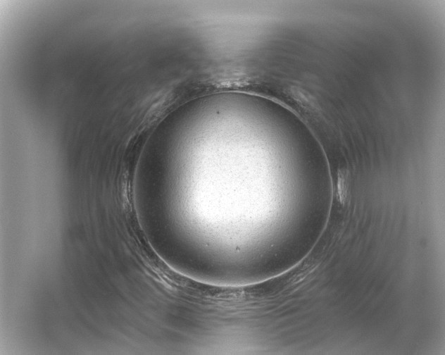 X0000063531444200601231529