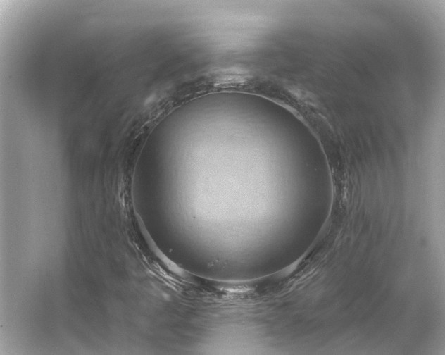 X0000063531445200601231529