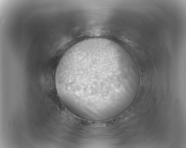 X0000063531446200601231529