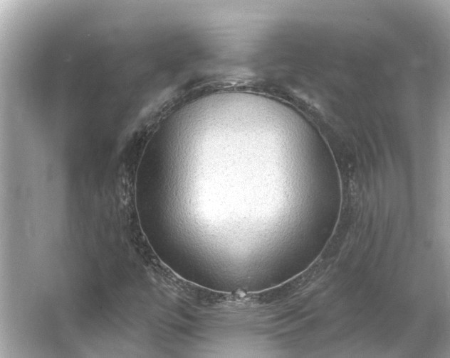 X0000063531447200601231529