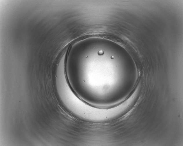 X0000063531449200601231529