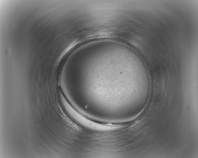 X0000063531450200601231529