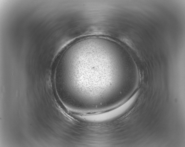 X0000063531452200601231529