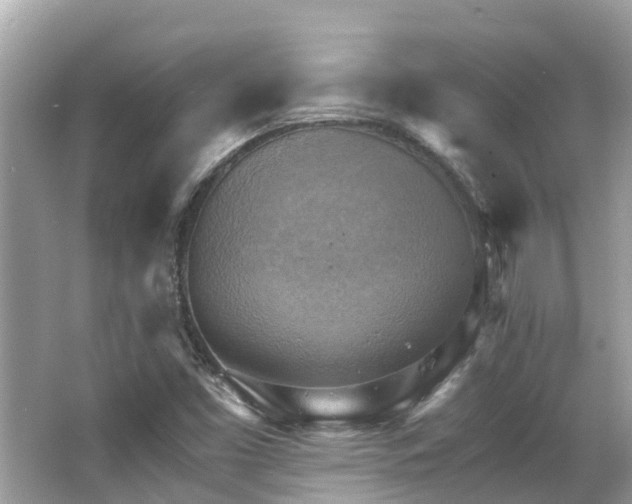 X0000063531453200601231529