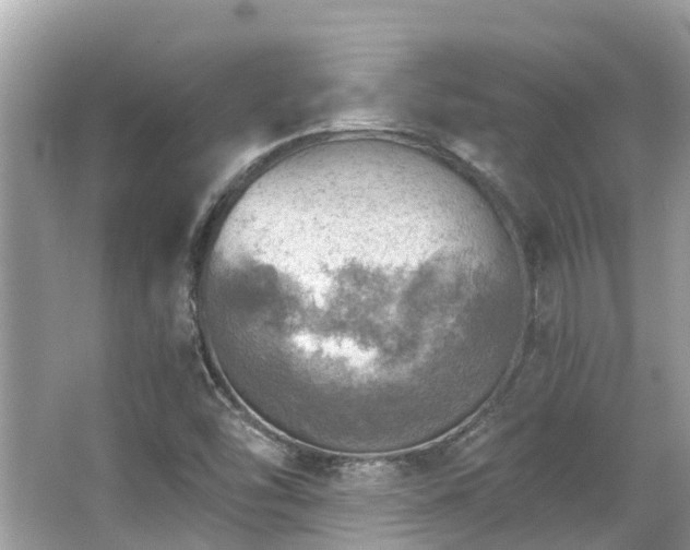 X0000063531454200601231529