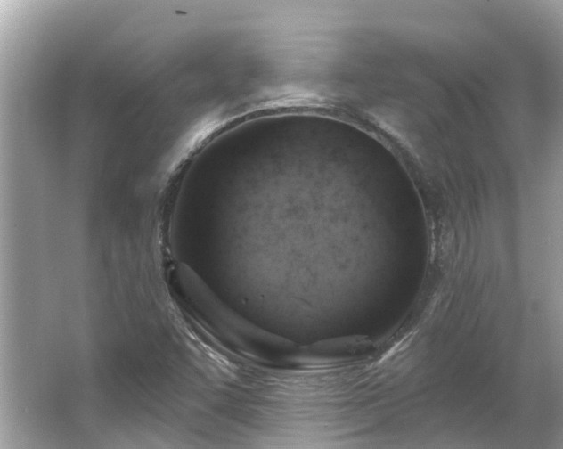 X0000063531455200601231529