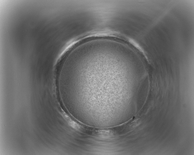 X0000063531456200601231529