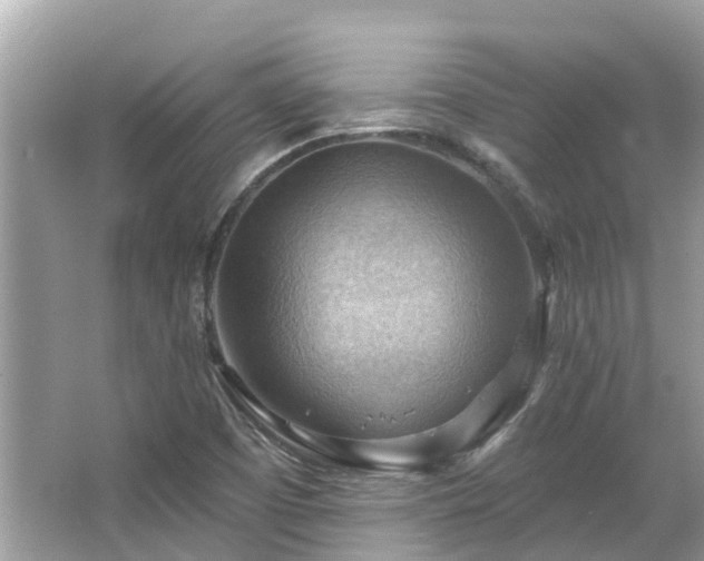 X0000063531457200601231529