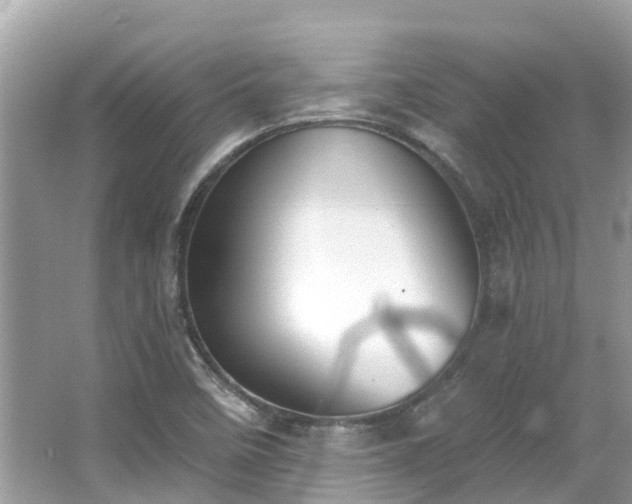 X0000063531458200601231529