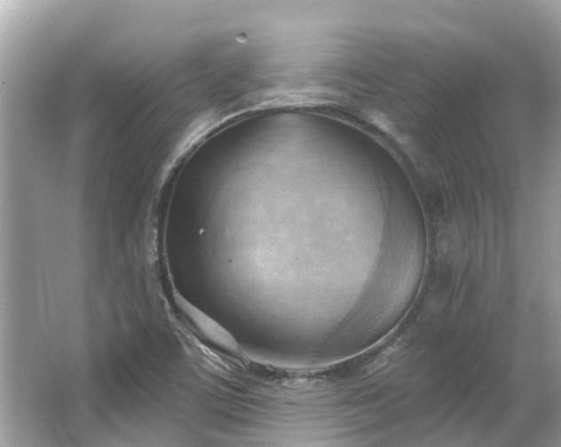 X0000063531459200601231529