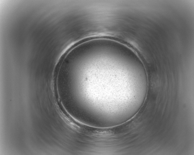 X0000063531460200601231529