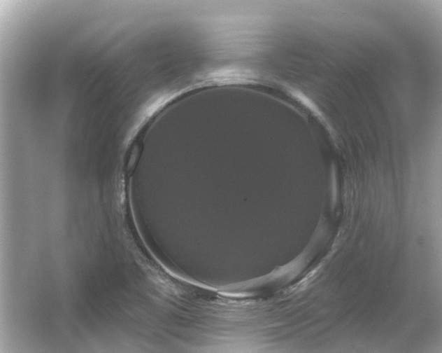 X0000063531461200601231529