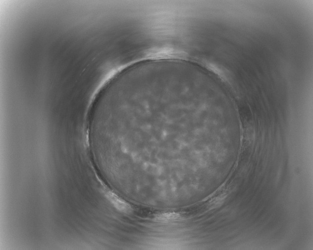 X0000063531462200601231529