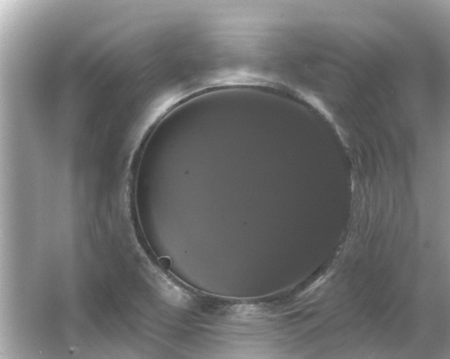 X0000063531463200601231529