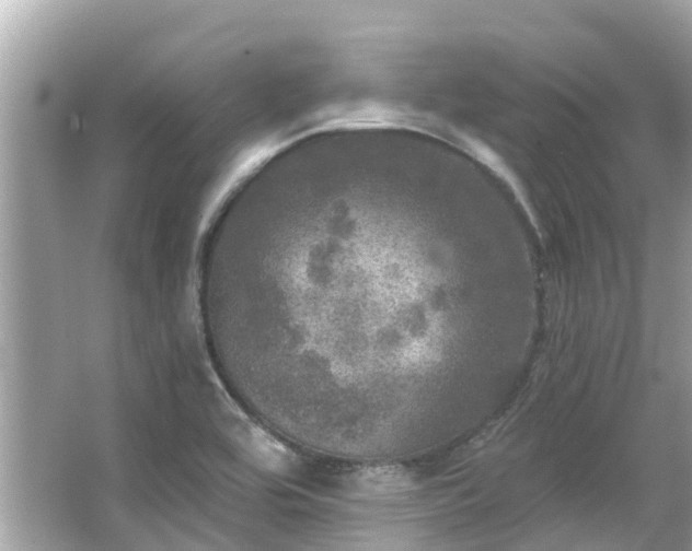 X0000063531464200601231529