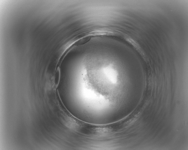 X0000063531465200601231529