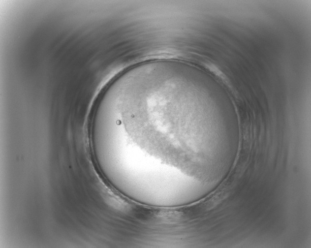 X0000063531466200601231529