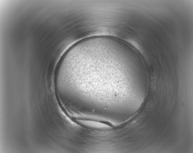 X0000063531468200601231529