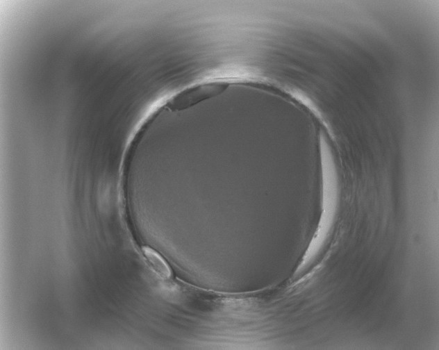 X0000063531469200601231529