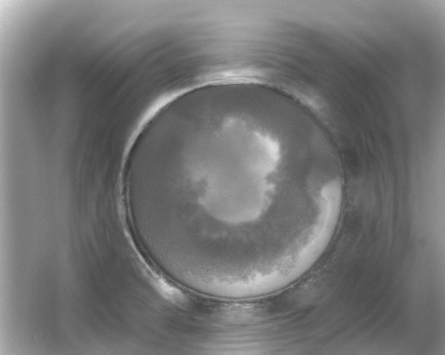 X0000063531470200601231529