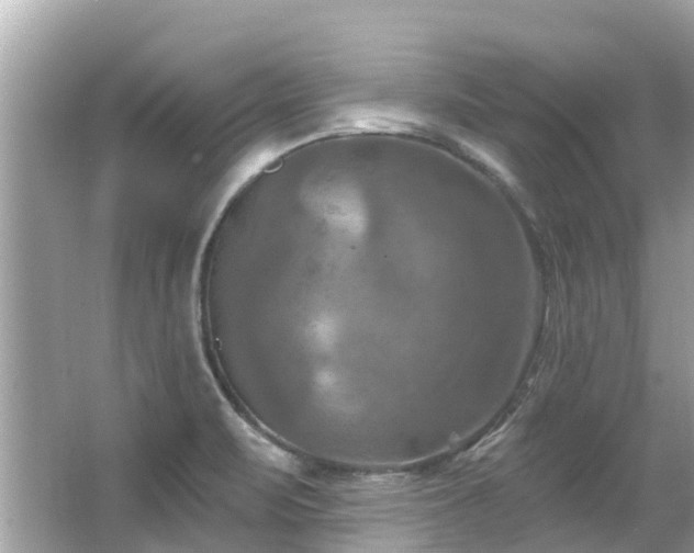 X0000063531471200601231529