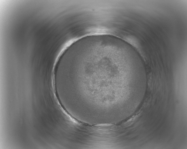 X0000063531472200601231529