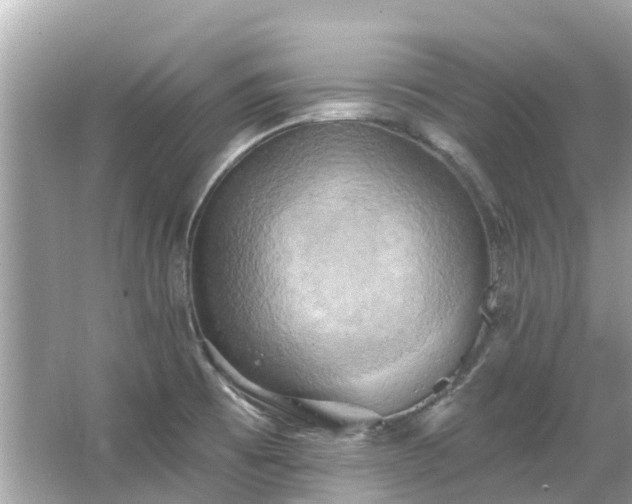 X0000063531473200601231529