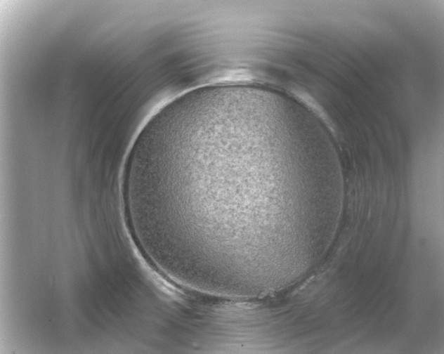 X0000063531475200601231529