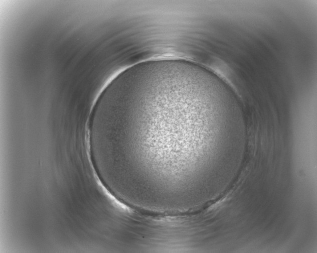 X0000063531476200601231529