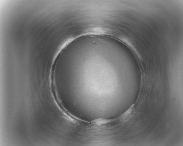 X0000063531477200601231529