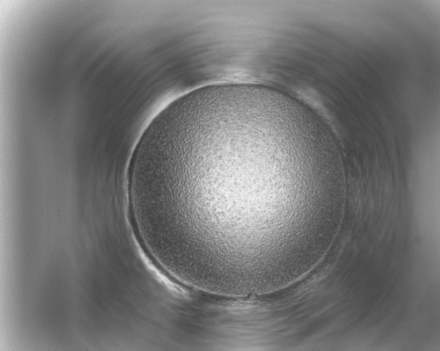 X0000063531479200601231529