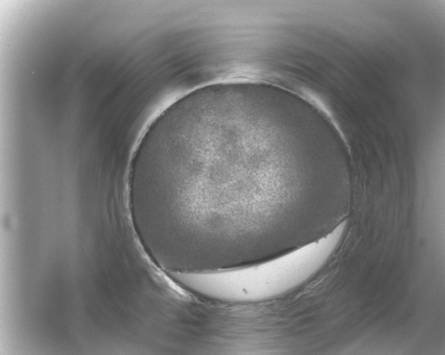 X0000063531480200601231529