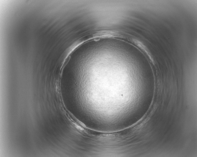 X0000063531481200601231529