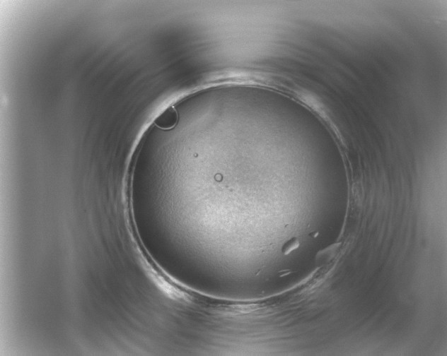 X0000063531482200601231529