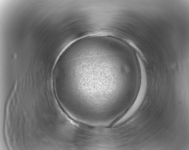 X0000063531484200601231529