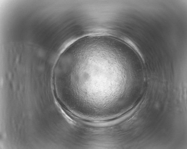 X0000063531485200601231529