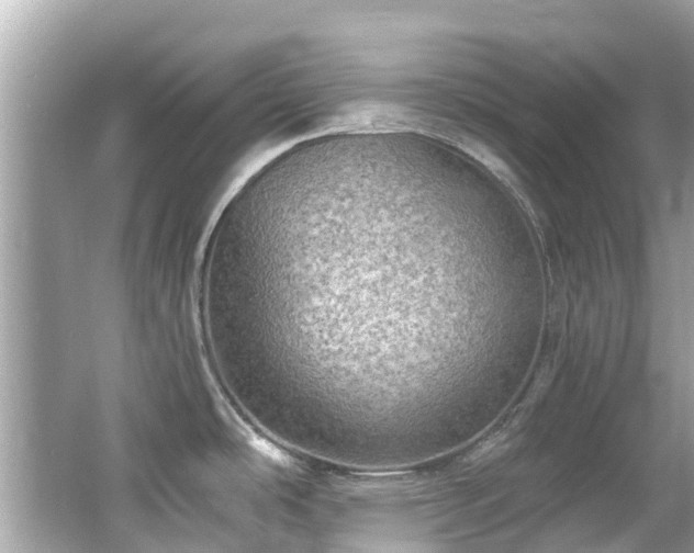 X0000063531486200601231529