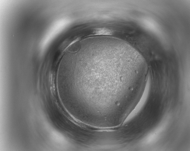 X0000063531487200601231529