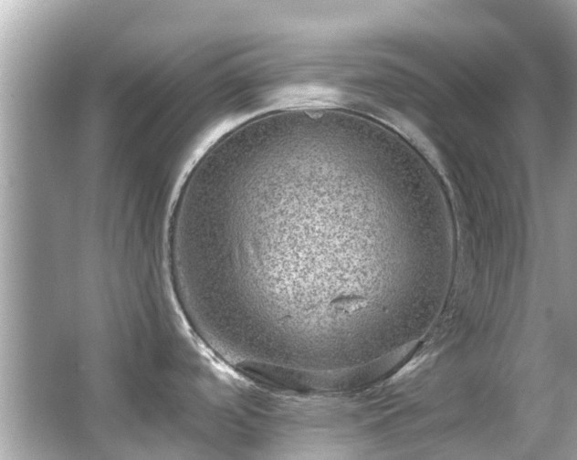 X0000063531488200601231528