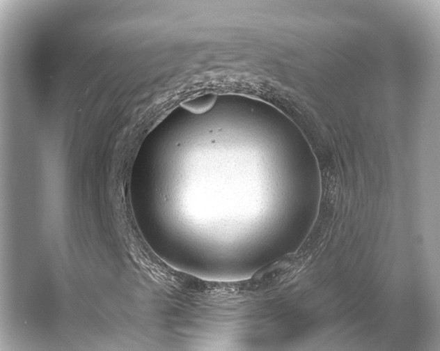 X0000063531489200601231528