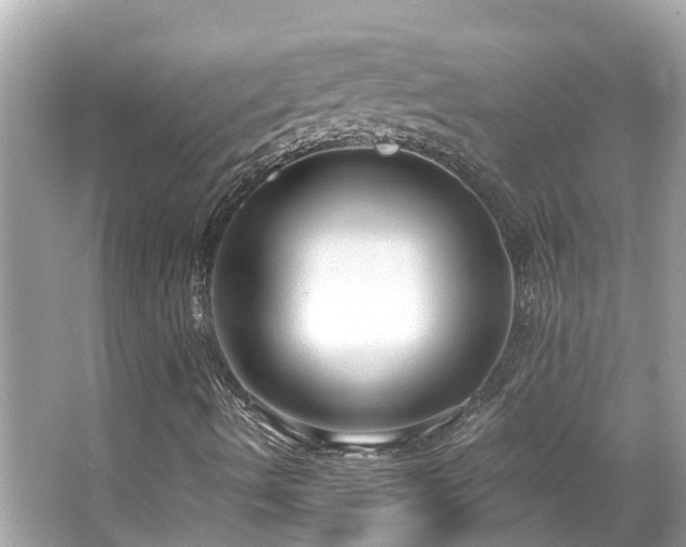 X0000063531490200601231528