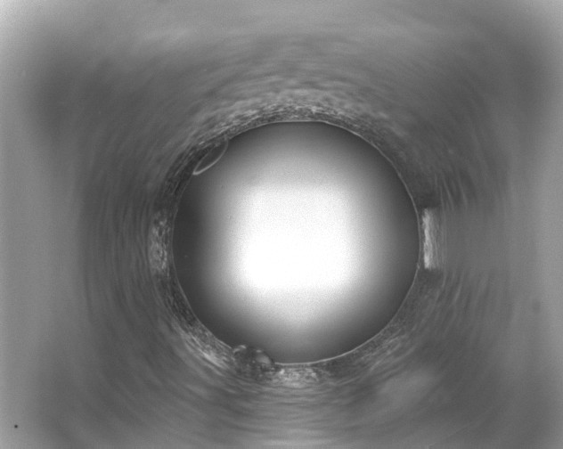 X0000063531491200601231528