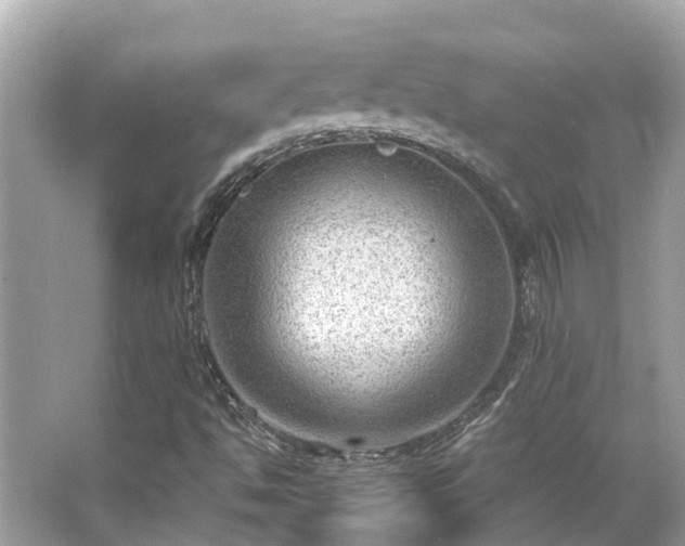 X0000063531494200601231528