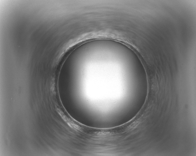 X0000063531499200601231528