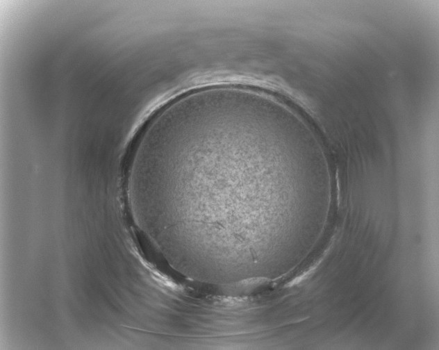 X0000063531501200601231528